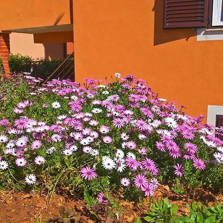 Apartman Dragan 1077