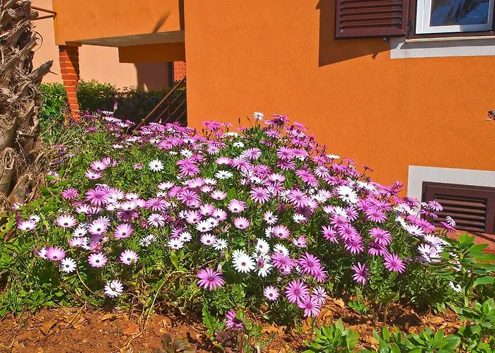 아파트 Dragan 1077