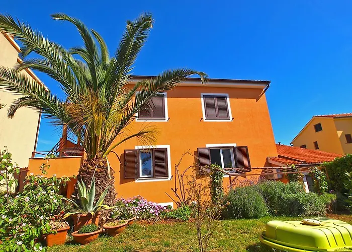 Dragan 1077 * 반졸레