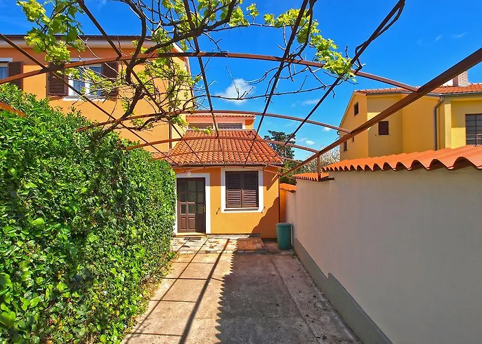 Dragan 1077 반졸레